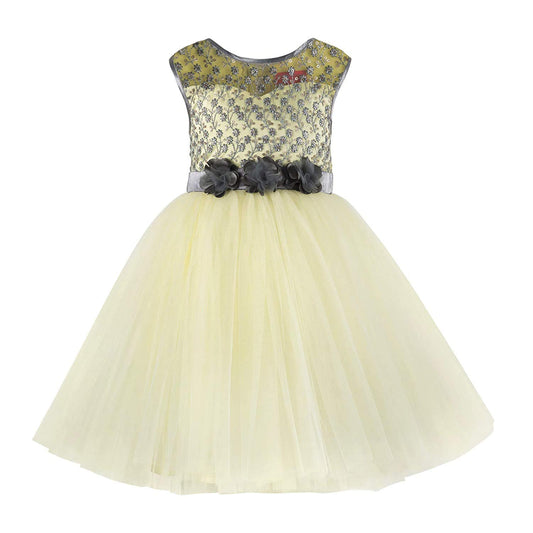 Light Green Net Dress For Girls